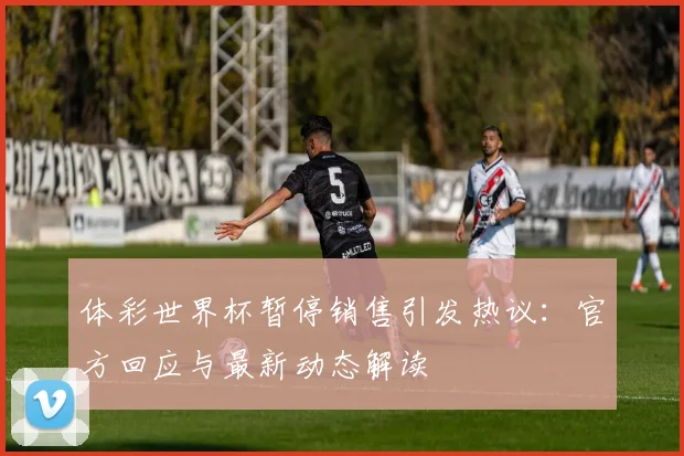 体彩世界杯暂停销售引发热议：官方回应与最新动态解读